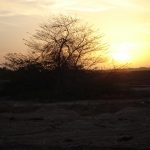 صورة للغروب في الكويت 2008